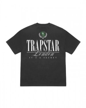 Grey Men's Trapstar Ts Crest 2.0 T-shirts UK | 39752-XDAL