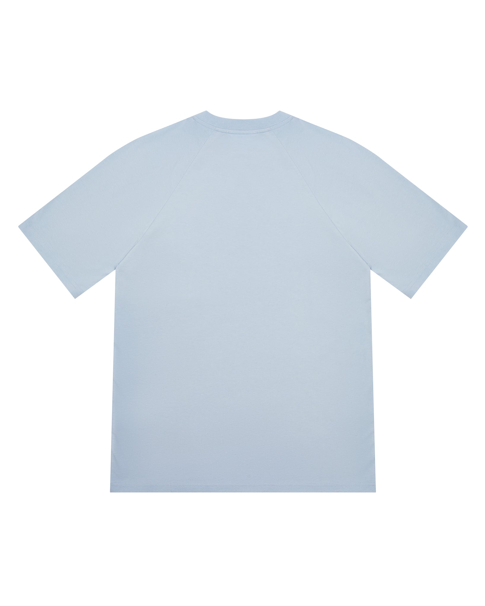 Light Blue Men's Trapstar Foundation T-shirts UK | 78601-YPTU